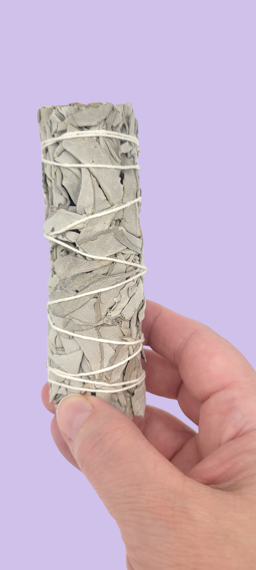 California White Sage Herb Wand 4"