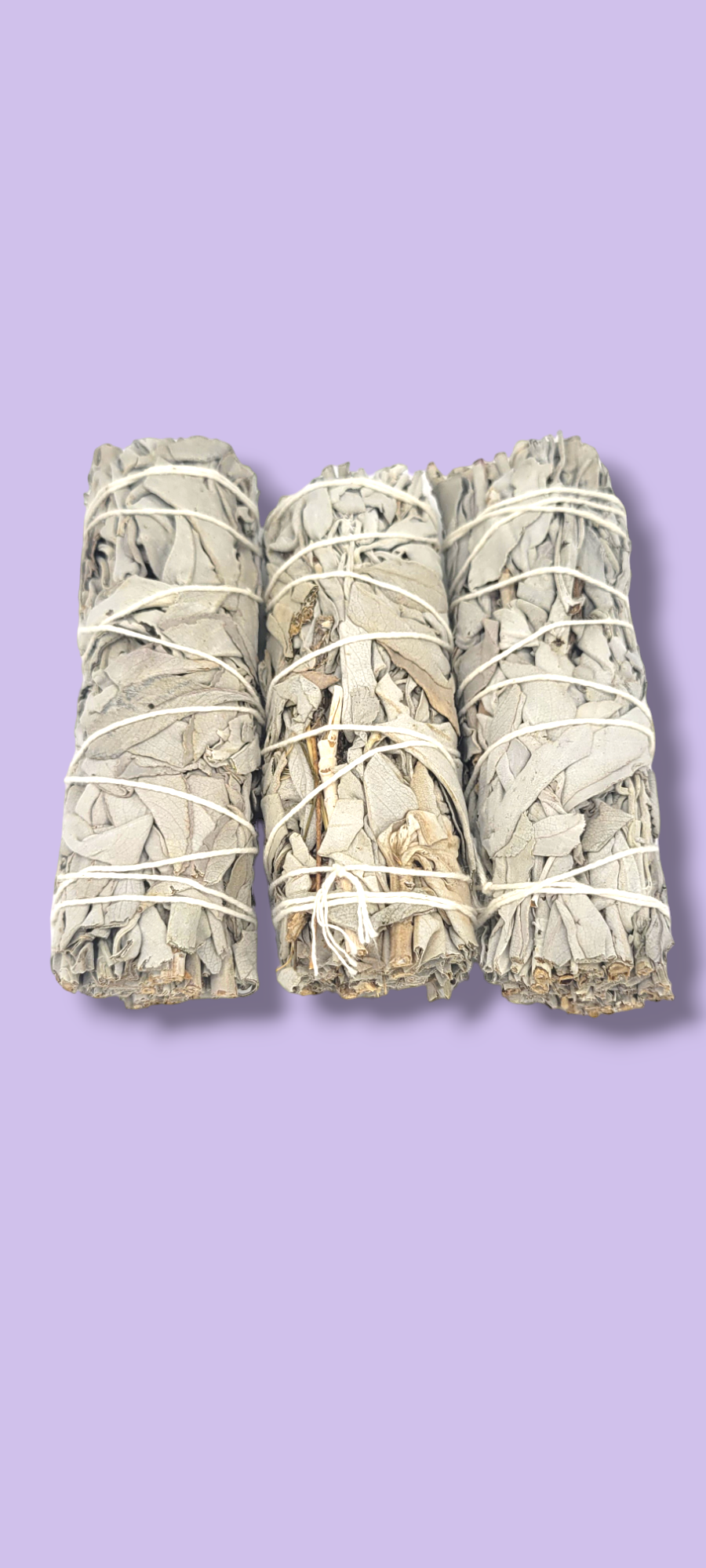 California White Sage Herb Wand 4"