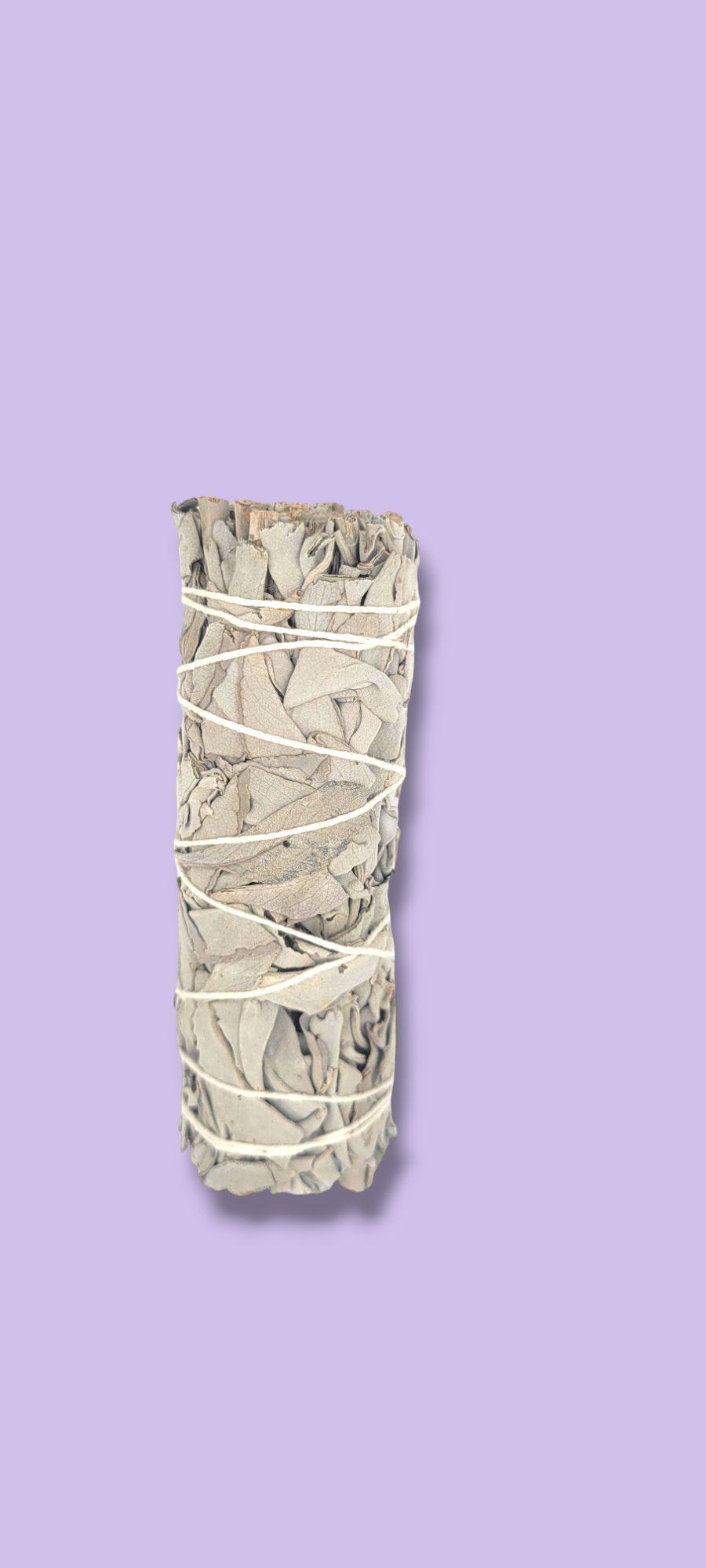California White Sage Herb Wand 4"