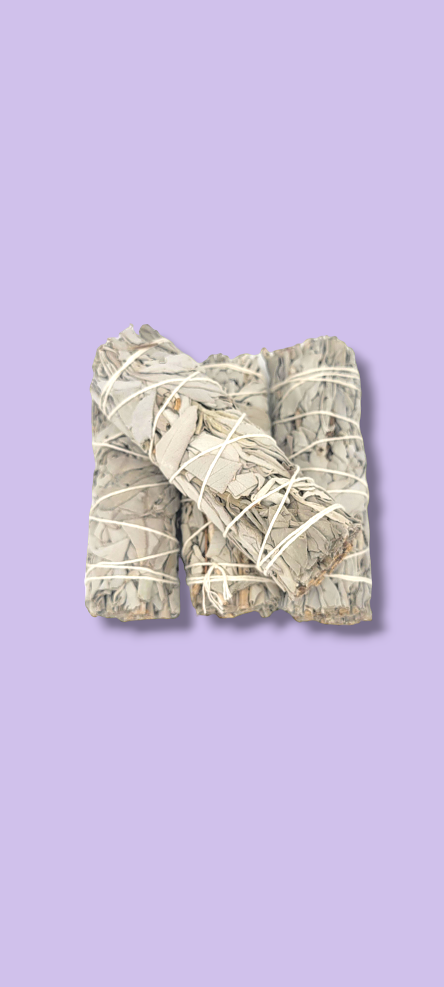 California White Sage Herb Wand 4"